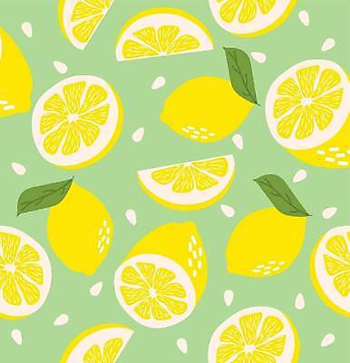 EPS 해외이미지 디자인 조각 잎 패턴 일러스트 단면 씨앗 사람없음 연두색 노란색 패턴백그라운드 레몬 해외일러스트 식물 컬러 백그라운드 무늬 과일 초록색 파일형식 벡터 이미지허브