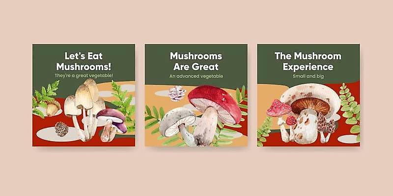 EPS 해외이미지 식물 배너 계절 음식 꽃무늬 다이어트 채소 일러스트 재료 자연 수채화 건강 장식 여름 버섯 수확 가을 신선 숲 유기농 내추럴 곰팡이 그물버섯 독버섯 마케팅 삼림지대 채식주의자 현실 비건 해외일러스트 웰빙 꽃 무늬 농업 생태계 채식 파일형식 벡터 이미지허브