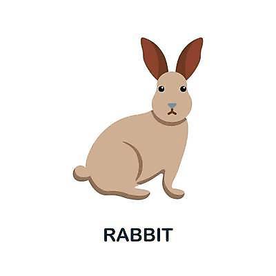 EPS 해외이미지 한마리 일러스트 사람없음 갈색 토끼 해외일러스트 1 컬러 포유류 반려동물 파일형식 벡터 이미지허브