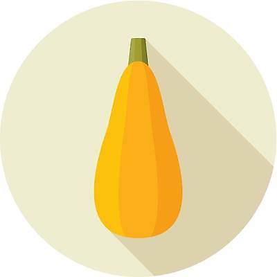 EPS 해외이미지 디자인 음식 농업 다이어트 채소 일러스트 재료 건강 요리 초록색 샐러드 수확 신선 플랫 심볼 사인 유기농 스쿼시 내추럴 고립 주키니 채식주의자 비건 해외일러스트 웰빙 산업 스포츠 컬러 구기 채식 파일형식 벡터 이미지허브