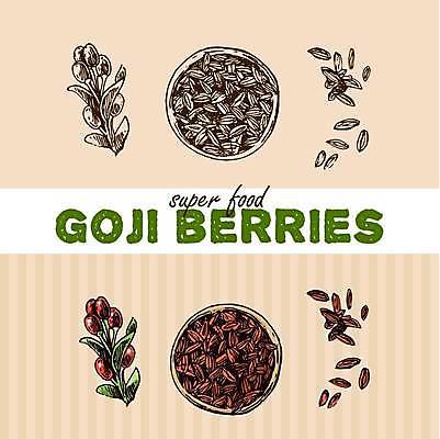 EPS 해외이미지 디자인 열매 음식 잎 일러스트 사람없음 스케치 유기농 슈퍼푸드 해외일러스트 식물 웰빙 미술 건강식품 파일형식 벡터 이미지허브