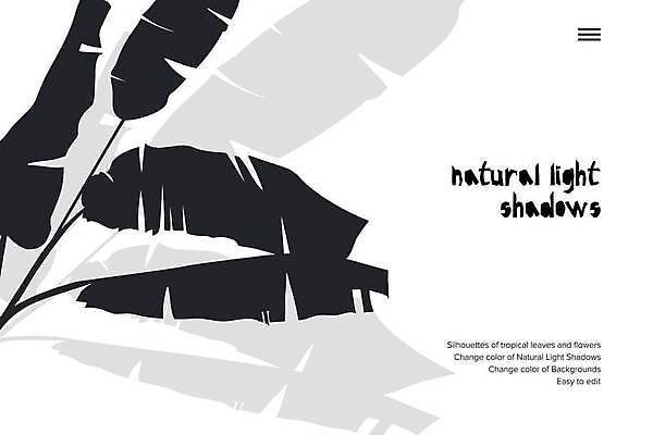 EPS 해외이미지 식물 템플릿 디자인 배너 실루엣 여행 백그라운드 잎 꽃무늬 패턴 일러스트 비즈니스 텍스트 추상 바나나 손바닥 그림자 그래픽 가로 초록색 여름 검은색 웹 어둠 봄 수확 가을 나뭇가지 신용카드 발표 화려 수집 허브 질감 레이아웃 고립 헤딩 스타일 해외일러스트 나무 손 계절 꽃 컬러 컨셉 무늬 농업 인터넷 과일 촬영기법 금융 축구 파일형식 벡터 이미지허브