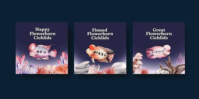 EPS 해외이미지 동물 배너 일러스트 수채화 뿔 어류 장식 반려동물 컬러풀 머리 수중 점 탱크 지느러미 수족관 혹 마케팅 해외일러스트 컬러 신체부위 수중동물 파일형식 벡터 이미지허브