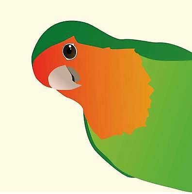 EPS 해외이미지 동물 캐릭터 디자인 야생동물 백그라운드 일러스트 자연 조류 오리 어류 미술 그래픽 초록색 반려동물 치킨 신용카드 플랫 만화 심볼 호기심 그림 앵무새 고립 잉꼬 해외일러스트 일러캐릭터 감정 컬러 컨셉 문화예술 금융 수중동물 생태계 닭고기요리 파일형식 벡터 이미지허브
