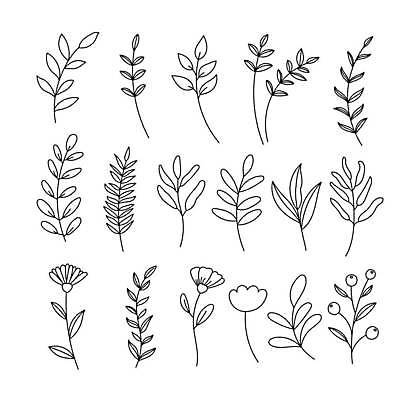 EPS 해외이미지 디자인 열매 꽃 잎 꽃무늬 라인일러스트 일러스트 사람없음 세트 엘리먼트 해외일러스트 식물 무늬 파일형식 벡터 이미지허브