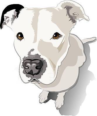 EPS 해외이미지 응시 일러스트 앉기 검은색 침묵 흰색 개 달콤 강아지 작음 코 귀 해외일러스트 시선 컬러 포유류 모션 신체부위 반려동물 소리 맛 크기 파일형식 벡터 이미지허브