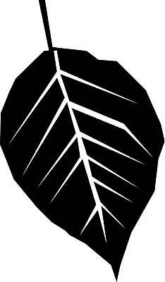 EPS 해외이미지 식물 디자인 꽃 백그라운드 컨셉 잎 꽃무늬 일러스트 자연 미술 그래픽 장식 환경 웹 흰색 신선 플랫 심볼 사인 에코 내추럴 고립 바이오 생태학 엘리먼트 해외일러스트 교육 컬러 무늬 인터넷 문화예술 생태계 파일형식 벡터 이미지허브