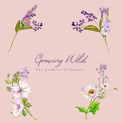 EPS 해외이미지 꽃 분홍색 잎 일러스트 사람없음 세트 분위기 손그림 감성 엘리먼트 해외일러스트 식물 컬러 컨셉 파일형식 벡터 이미지허브