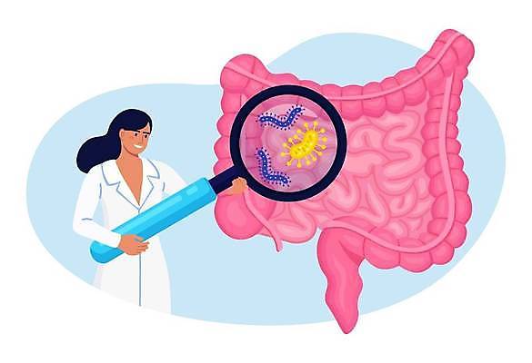 EPS 해외이미지 여자 일러스트 돋보기 한명 들기 상반신 성인 진료 의사 확대 대장 소장 박테리아 성인여자한명만 해외일러스트 1 의학 모션 사람 의료진 장기_의학 여자한명만 성인여자만 파일형식 벡터 이미지허브