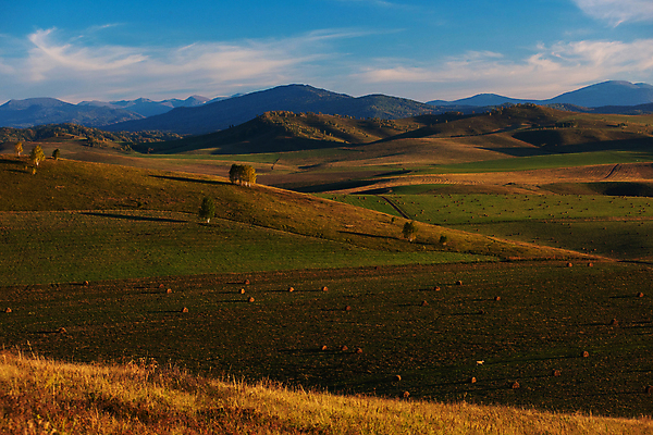 포토 JPG 해외이미지 주간 나무 밭 사람없음 야외 숲 땅 언덕 해외포토 자연요소 식물 농업 파일형식 이미지허브