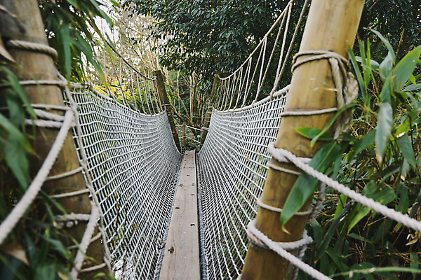 포토 JPG 해외이미지 나무 공원 도로 길 밧줄 여행 아프리카 자연 산 매달리기 동물원 풍경 사람없음 야외 목재 초록색 물 여름 강 환경 금속 골짜기 계곡 놀람 산책 안개 개울 황무지 숲 위험 열대우림 대나무 그네 건너기 마다가스카르 방법 옛날 해외포토 자연요소 식물 계절 공공시설 감정 나라 줄 컬러 컨셉 재료 교통시설 모션 재질 날씨 휴식 표정 생태계 파일형식 이미지허브