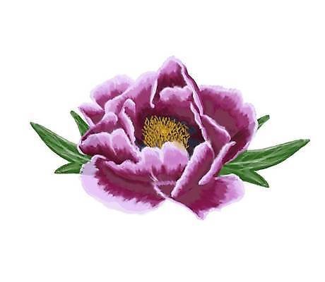 EPS 해외이미지 식물 템플릿 디자인 배너 꽃 결혼 잎 겨울 꽃무늬 패턴 일러스트 자연 추상 프레임 사랑 미술 그래픽 장식 세트 장미 파티 유행 화환 봄 낭만 수확 흰색 시골 축하 인사 신용카드 생일 우아함 복고 초대 라일락 작약 그리너리 국경 해외일러스트 계절 기념일 감정 컬러 컨셉 무늬 농업 문화예술 이벤트 금융 예절 생태계 파일형식 벡터 트랜드컬러 이미지허브