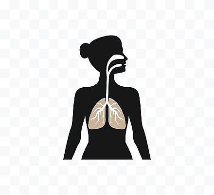 EPS 해외이미지 모양 모델 디자인 여자 남자 실루엣 과학 포즈 백그라운드 신체 일러스트 비즈니스 해부 건강 서기 사람 성인 내부 숫자 약 검은색 고통 흰색 오르간 호흡기관 호흡 생물학 시스템 팔 고립 궤 해외일러스트 문자 교육 감정 컬러 의학 모션 촬영기법 신체부위 장기_의학 건반악기 파일형식 벡터 이미지허브