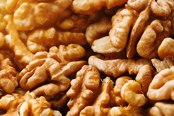 포토 JPG 해외이미지 계절 음식 백그라운드 농업 다이어트 과일 재료 자연 건조 건강 씨앗 사람없음 갈색 식사 견과류 흰색 시골 신선 시장 맛 정상 시리얼 뇌 유기농 질감 알맹이 날것 호두 비타민 흙더미 내추럴 고립 숙성 작살 채식주의자 많음 맛있는 해외포토 식물 웰빙 산업 컬러 컨셉 흙 생태계 채식 영양소 파일형식 더미 이미지허브