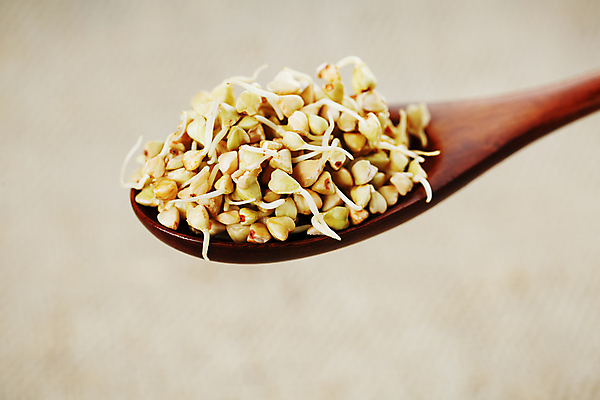 포토 JPG 해외이미지 씨앗 들기 사람없음 숟가락 메밀 발아 건강식 생식 베이지색배경 해외포토 식물 음식 백그라운드 식재료 모션 수저 베이지색 파일형식 이미지허브