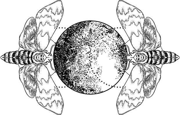 EPS 해외이미지 동물 선 나비 곤충 백그라운드 날개 일러스트 자연 잉크 흑백 장식 수확 달 원형 중세 야간 인쇄 신비 스케치 문신 심볼 사인 그림 윤곽 손그림 점성술 마법 판화 나방 고립 대칭 색칠공부 엘리먼트 스타일 해외일러스트 자연요소 도형 컨셉 농업 촬영기법 미술 학습 색칠 역사 생태계 파일형식 벡터 이미지허브