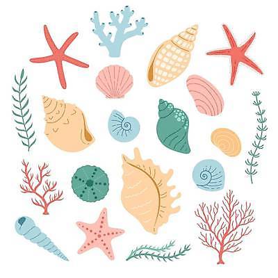 EPS 해외이미지 디자인 일러스트 불가사리 사람없음 조개껍데기 수중식물 해초 산호 산호초 소라 감성 해외일러스트 식물 컨셉 조개 어패류 극피동물 해조류 자포동물 파일형식 벡터 이미지허브