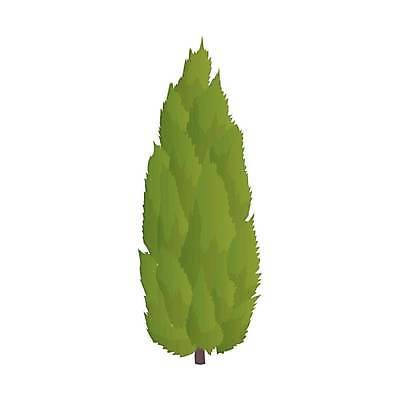 EPS 해외이미지 나무 식물 디자인 공원 줄기 낙엽 잎 일러스트 자연 야외 목재 그래픽 장식 초록색 환경 정원 검은색 봄 성장 흰색 나뭇가지 그룹 숲 큼 만화 심볼 싱글 그림 침엽수 고립 생태학 엘리먼트 그리너리 해외일러스트 계절 공공시설 교육 컬러 재료 크기 생태계 파일형식 벡터 트랜드컬러 이미지허브