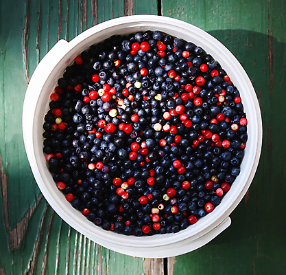 포토 JPG 해외이미지 식물 잡화 열매 음료 음식 잎 농업 다이어트 과일 자연 탁자 디저트 건강 사람없음 목재 초록색 파란색 농작물 나뭇가지 그룹 사발 시장 닫기 달콤 유기농 원예 질감 블루베리 흙더미 내추럴 강렬 바이오 숙성 채식주의자 많음 세련 비건 맛있는 해외포토 나무 웰빙 산업 컬러 가구 컨셉 재료 모션 취미 흙 사기그릇 맛 생태계 채식 파일형식 더미 이미지허브