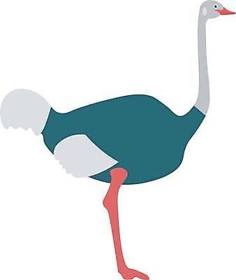 JPG 해외이미지 일러스트 사람없음 귀여움 타조 해외일러스트 컨셉 조류 파일형식 이미지허브