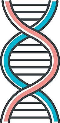 EPS 해외이미지 클립아트 디자인 과학 컨셉 일러스트 추상 세포 나선형 실험 사람 픽토그램 약 웹 쌍 진화 실험실 암호 DNA 생명공학 만화 가득함 심볼 그림 생물학 염색체 공학 고립 더블 신맛 유전 스타일 해외일러스트 교육 무늬 인터넷 의학 맛 소방 파일형식 벡터 이미지허브