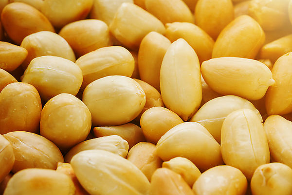 포토 JPG 해외이미지 실내 근접촬영 사람없음 가득함 땅콩 베이지색 해외포토 뷰포인트 컬러 내부 견과류 파일형식 이미지허브