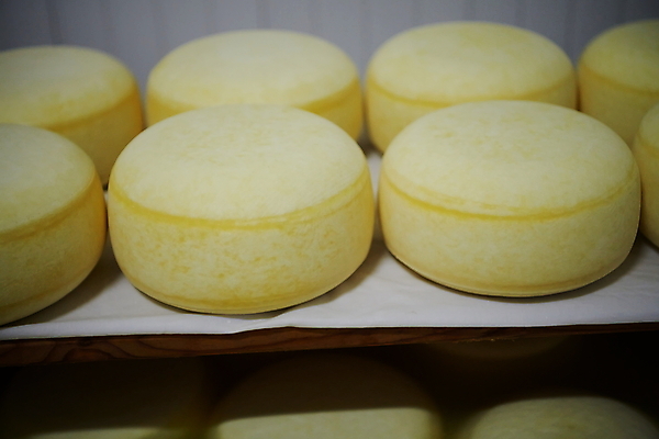 포토 JPG 해외이미지 공장 치즈 선반 사람없음 쌓기 제조 저장 유기농 발효 수납 숙성 저장소 전통방식 많음 해외포토 전통 웰빙 가구 컨셉 공업 모션 유제품 파일형식 이미지허브