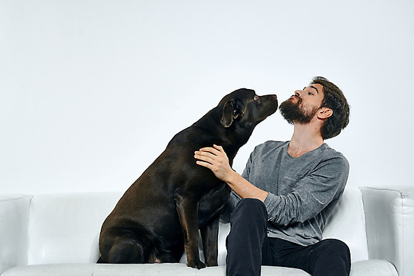 포토 JPG 해외이미지 백인 한마리 남자 반려견 키스 함께함 실내 한명 앉기 상반신 성인 앞모습 옆모습 친구 반려동물 소파 우정 잡기 강아지 래브라도리트리버 즐거움 흰배경 고개들기 성인남자한명만 해외포토 서양인 동물 1 감정 뷰포인트 백그라운드 컨셉 의자 관계 모션 사람 내부 흰색 개 리트리버 애정표현 남자한명만 성인남자만 파일형식 이미지허브