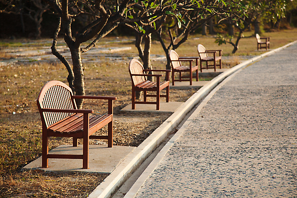 포토 JPG 해외이미지 주간 나무 공원 길 벤치 아침 풍경 사람없음 야외 가을 해외포토 자연요소 식물 계절 공공시설 의자 파일형식 이미지허브