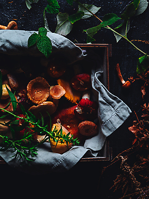 포토 JPG 해외이미지 계절 음식 백그라운드 잎 다이어트 재료 자연 탁자 건강 요리 사람없음 목재 장식 빨간색 초록색 컬러풀 갈색 바구니 식당 식사 버섯 침묵 수확 흰색 시골 신선 칼 숲 자르기 먹기 오브젝트 유기농 질감 날것 레시피 내추럴 그물버섯 식용 맛있는 해외포토 나무 식물 웰빙 컬러 가구 농업 모션 상점 소리 생태계 파일형식 이미지허브