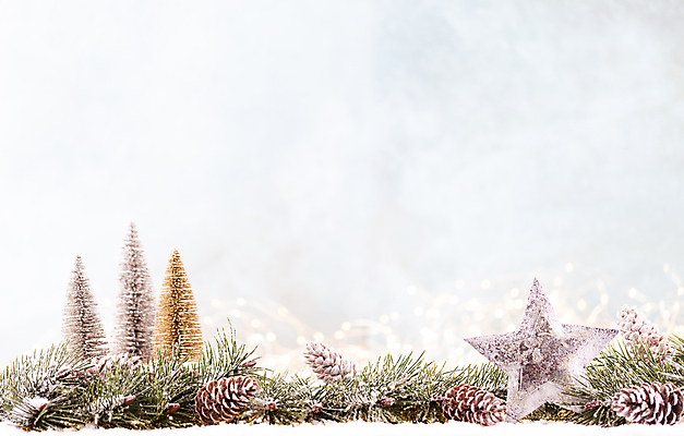 포토 JPG 해외이미지 별 잎 크리스마스 실내 사람없음 크리스마스트리 미니어처 흰배경 솔방울 미니트리 별모형 별장식 카피스페이스 해외포토 자연요소 식물 기념일 백그라운드 내부 장식 모형 공백 흰색 파일형식 이미지허브