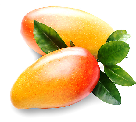 포토 JPG 해외이미지 음식 잎 다이어트 과일 디저트 귤 건강 사람없음 초록색 신선 달콤 유기농 망고 내추럴 고립 채식주의자 해외포토 식물 웰빙 컬러 맛 열대과일 채식 파일형식 이미지허브