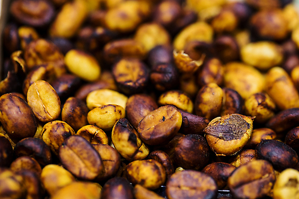 포토 JPG 해외이미지 나무 식물 손 열매 산업 커피 음료 음식 백그라운드 잎 농업 과일 자연 콩 건조 사람없음 야외 빨간색 초록색 농작물 농장 바구니 수확 성장 껍질 나뭇가지 신선 뜨거움 굽기 유기농 날것 돌봄 방법 밭일 생태학 숙성 아라비카 카페인 해외포토 웰빙 교육 컬러 모션 곡류 신체부위 구이 생태계 파일형식 이미지허브