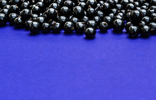 포토 JPG 해외이미지 계절 열매 음식 백그라운드 다이어트 과일 재료 자연 건강 사람없음 검은색 신선 그룹 사발 닫기 달콤 정상 유기농 날것 블랙베리 흙더미 내추럴 건포도 숙성 채식주의자 해외포토 식물 웰빙 컬러 모션 포도 흙 사기그릇 맛 생태계 채식 건과일 파일형식 더미 이미지허브