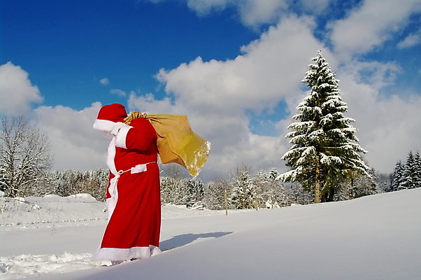포토 JPG 해외이미지 나무 전통 남자 행복 크리스마스 겨울 가방 자연 하늘 휴가 산 수염 기념 사람 풍경 정장 사람없음 야외 빨간색 산타클로스 냉동 얼음 추위 흰색 축하 아빠 숲 서리 전나무 클라우스 해외포토 자연요소 식물 잡화 옷 계절 기념일 감정 컬러 컨셉 가족 생태계 파일형식 이미지허브