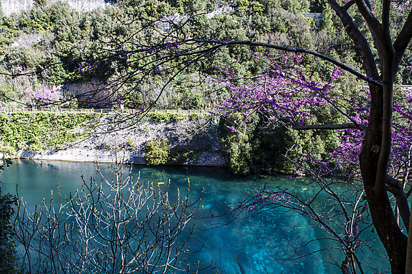 포토 JPG 해외이미지 식물 스포츠 파도 백그라운드 자연 사람 사람없음 가로 초록색 물 파란색 강 컬러풀 뷰티 반사 검은색 수중 이탈리아 시골 수면 익스트림스포츠 경계 폐허 다이빙 해군 마법 천국 탐사 방앗간 로마인 해외포토 자연요소 유럽 바다 컬러 군대 인종 수영 생태계 수중스포츠 파일형식 이미지허브