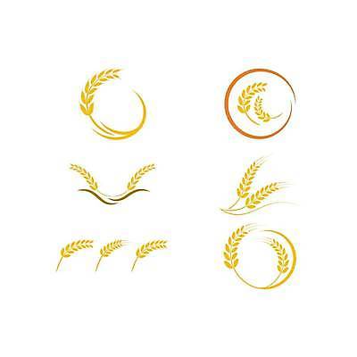 EPS 해외이미지 식물 디자인 음식 빵 백그라운드 농업 일러스트 밥 건강 옥수수 씨앗 농장 수확 신선 황금 낟알 시리얼 밀 심볼 사인 유기농 귀 스파이크 내추럴 고립 귀리 해외일러스트 웰빙 산업 곡류 신체부위 파일형식 벡터 이미지허브