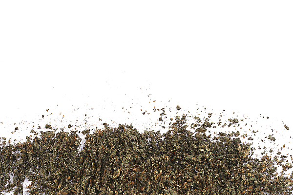 포토 JPG 해외이미지 직업 컨셉 그림자 사람없음 장식 초록색 뷰티 유행 세일 견본 우주 화장품 흰색 팔레트 떨어짐 상품 가루 자르기 피부 피부관리 질감 만들기 아이섀도 찌그러짐 고립 깨짐 타격 카피스페이스 해외포토 컬러 모션 신체부위 공백 파일형식 이미지허브