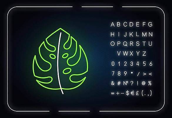 EPS 해외이미지 알파벳 선 백그라운드 일러스트 타이포그라피 사람없음 풀잎 화려 심볼 네온 형광등 몬스테라 해외일러스트 식물 문자 영어 컨셉 잎 전등 풀_식물 파일형식 벡터 이미지허브