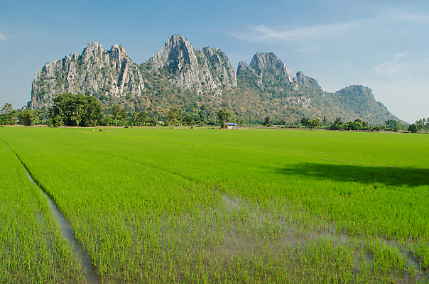 포토 JPG 해외이미지 나무 공원 아시아 여행 태국 자연 하늘 휴가 산 사람없음 야외 초록색 물 강 골짜기 중국 만 숲 언덕 내추럴 석회암 지질학 해외포토 자연요소 식물 공공시설 교육 나라 컬러 암석 생태계 파일형식 이미지허브