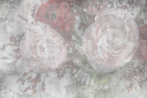 포토 JPG 해외이미지 식물 계절 꽃잎 꽃 종이 꽃다발 꽃무늬 자연 발렌타인데이 선물 사랑 사람없음 장식 봄 낭만 수확 인사 신선 신용카드 개화 다발 질감 복고 내추럴 고딕 그런지 옛날 해외포토 감정 컨셉 무늬 농업 데이이벤트 금융 예절 생태계 파일형식 이미지허브