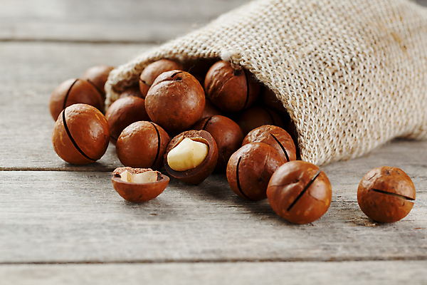 포토 JPG 해외이미지 사람없음 쏟아짐 포대자루 마카다미아 나무배경 해외포토 백그라운드 모션 견과류 자루 파일형식 이미지허브