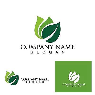 EPS 해외이미지 디자인 잎 일러스트 사람없음 초록색 심볼 에코 유기농 엘리먼트 해외일러스트 식물 웰빙 컬러 환경 파일형식 벡터 이미지허브