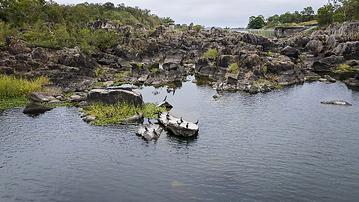 포토 JPG 해외이미지 나무 동물 계절 공원 호수 야생동물 여행 자연 조류 안테나 사람없음 야외 초록색 물 강 환경 시골 호주 보호 댐 내추럴 동물상 해외포토 자연요소 식물 공공시설 컬러 컨셉 통신 조형물 오세아니아 생태계 파일형식 이미지허브