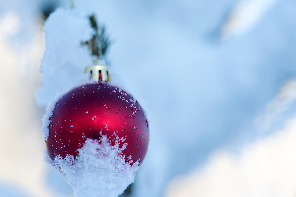 포토 JPG 해외이미지 주간 크리스마스장식 겨울 매달리기 사람없음 야외 아웃포커스 눈 걸림 오너먼트 해외포토 자연요소 계절 크리스마스 모션 날씨 촬영기법 파일형식 이미지허브