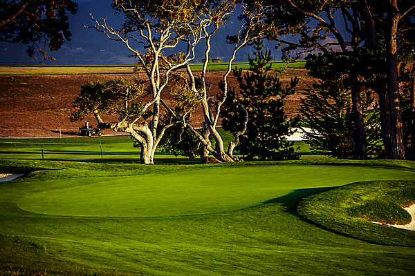 포토 JPG 해외이미지 골프 골프장 사람없음 초록색 미국 조약돌 캘리포니아 페어웨이 해외포토 컬러 북아메리카 스포츠시설 구기 돌_바위 파일형식 이미지허브