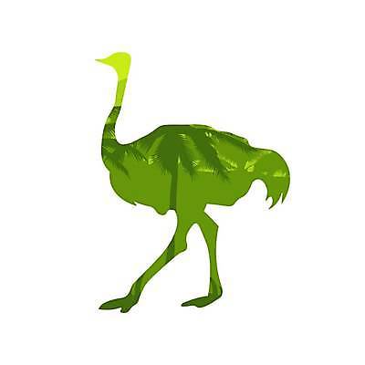 EPS 해외이미지 클립아트 모양 동물 캐릭터 디자인 남자 실루엣 야생동물 백그라운드 일러스트 아프리카 자연 조류 추상 동물원 미술 서기 그래픽 농장 머리 검은색 흰색 자르기 심볼 사파리 깃털 그림 부리 목 내추럴 고립 동물상 양발 이국적 해외일러스트 일러캐릭터 나라 컬러 무늬 농업 모션 문화예술 촬영기법 사람 신체부위 조형물 생태계 파일형식 벡터 이미지허브