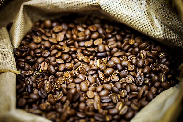 포토 JPG 해외이미지 스튜디오촬영 커피 음료 음식 백그라운드 패턴 농업 재료 추상 콩 씨앗 사람없음 농작물 갈색 쌓기 검은색 사진촬영 어둠 침묵 원두 신선 그룹 닫기 맛 굽기 질감 향기 아로마 결 카푸치노 흙더미 제비 내추럴 작살 카페인 많음 해외포토 식물 산업 컬러 컨셉 무늬 모션 조류 곡류 실내 촬영 소리 흙 구이 냄새 파일형식 더미 이미지허브