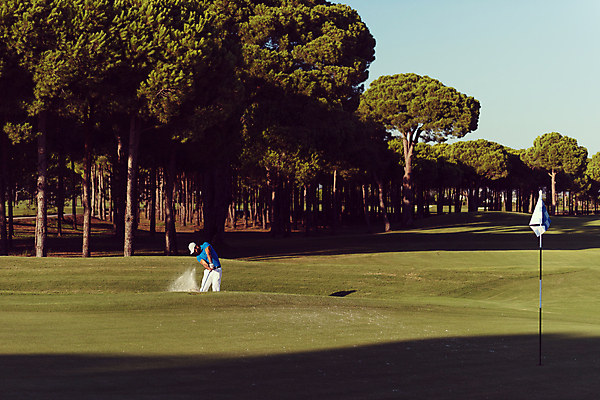 포토 JPG 해외이미지 주간 나무 남자 골프 골프장 그림자 한명 상반신 성인 야외 앞모습 골퍼 스윙 골프깃발 성인남자한명만 해외포토 자연요소 식물 1 뷰포인트 포즈 스포츠시설 운동선수 사람 구기 깃발 남자한명만 성인남자만 파일형식 이미지허브