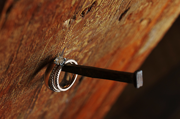 포토 JPG 해외이미지 나무 결혼 백그라운드 꽃무늬 결혼식 사랑 사람없음 목재 장식 뷰티 골동품 흰색 시골 축하 반지 못 황금 닫기 은색 보석 배열 심볼 부식 결혼반지 다이아몬드 약혼 잡동사니 백금 수목 해외포토 식물 꽃 감정 컬러 컨셉 무늬 재료 장신구 모션 이벤트 공구 광석 약속 파일형식 이미지허브